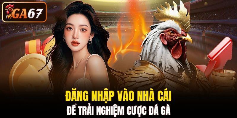 Đăng nhập vào nhà cái để trải nghiệm cược đá gà